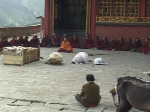 Sky Burial (Home Use DVD)